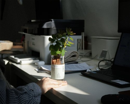 Person working comfortably at a bright desk with plants